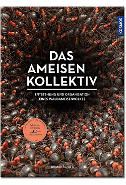 Das Ameisenkollektiv: Entstehung und Organisation eines Volkes der Roten Waldameise
