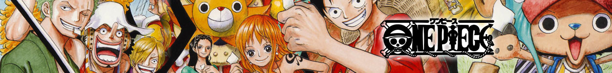 Die Welt von One Piece