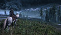 Screenshot "The Witcher 3: Wild Hunt"